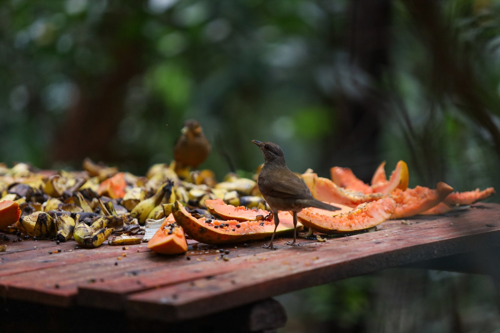 Espaço da Contemplação