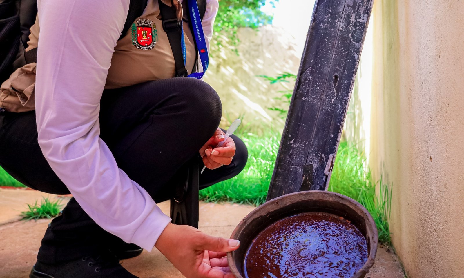 Calor aliado ao acúmulo de água da chuva em recipientes descobertos favorece a formação de criadouros (Crédito: Rafael Macri/PMM)