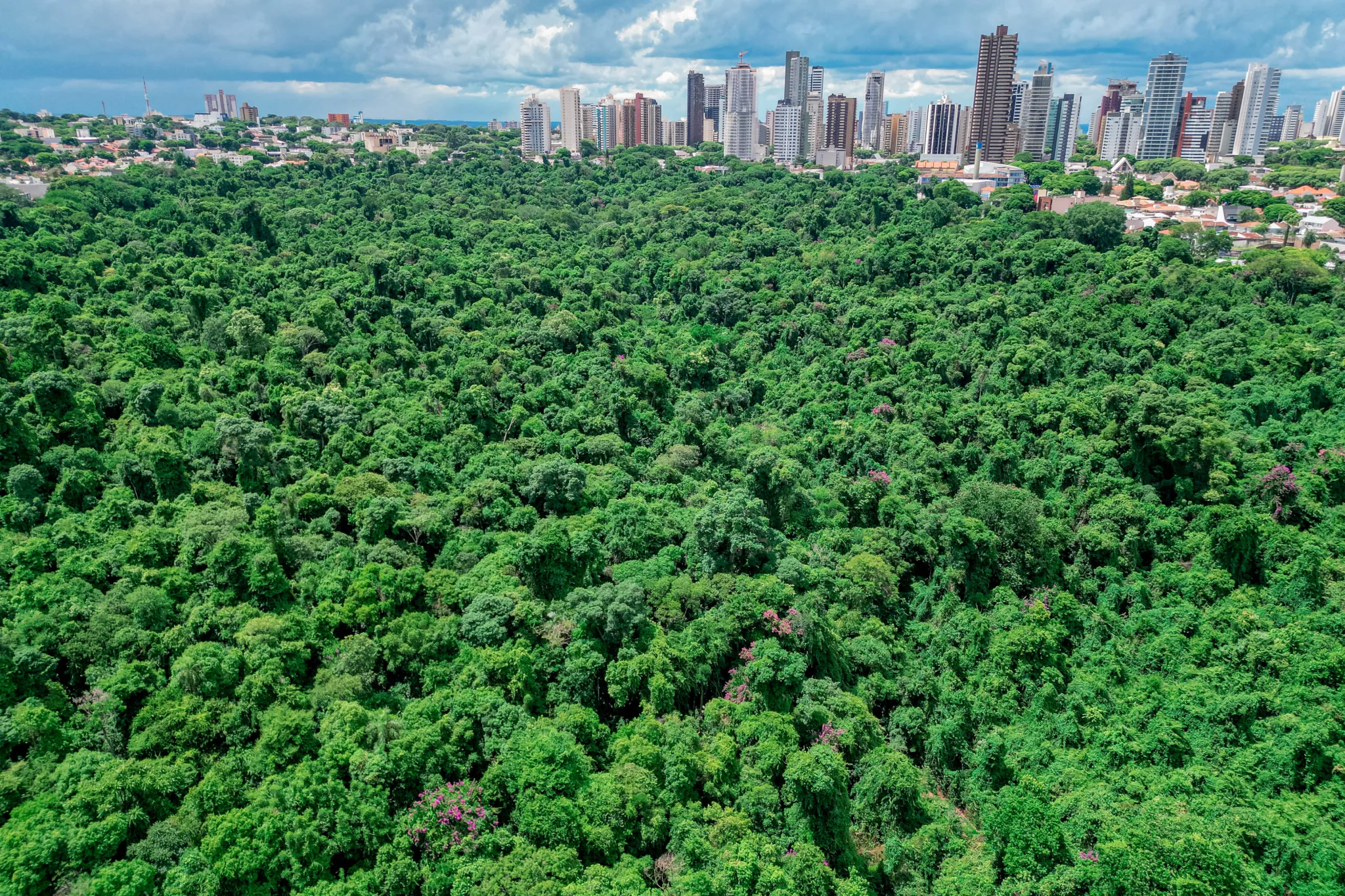 As inscrições seguem abertas até 9 de fevereiro e devem ser realizadas exclusivamente por meio do Sistema Eletrônico de Informações (SEI). (Crédito: Rafael Macri/PMM)