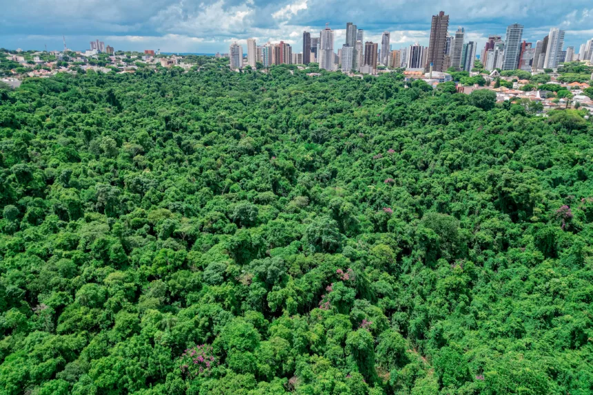 As inscrições seguem abertas até 9 de fevereiro e devem ser realizadas exclusivamente por meio do Sistema Eletrônico de Informações (SEI). (Crédito: Rafael Macri/PMM)