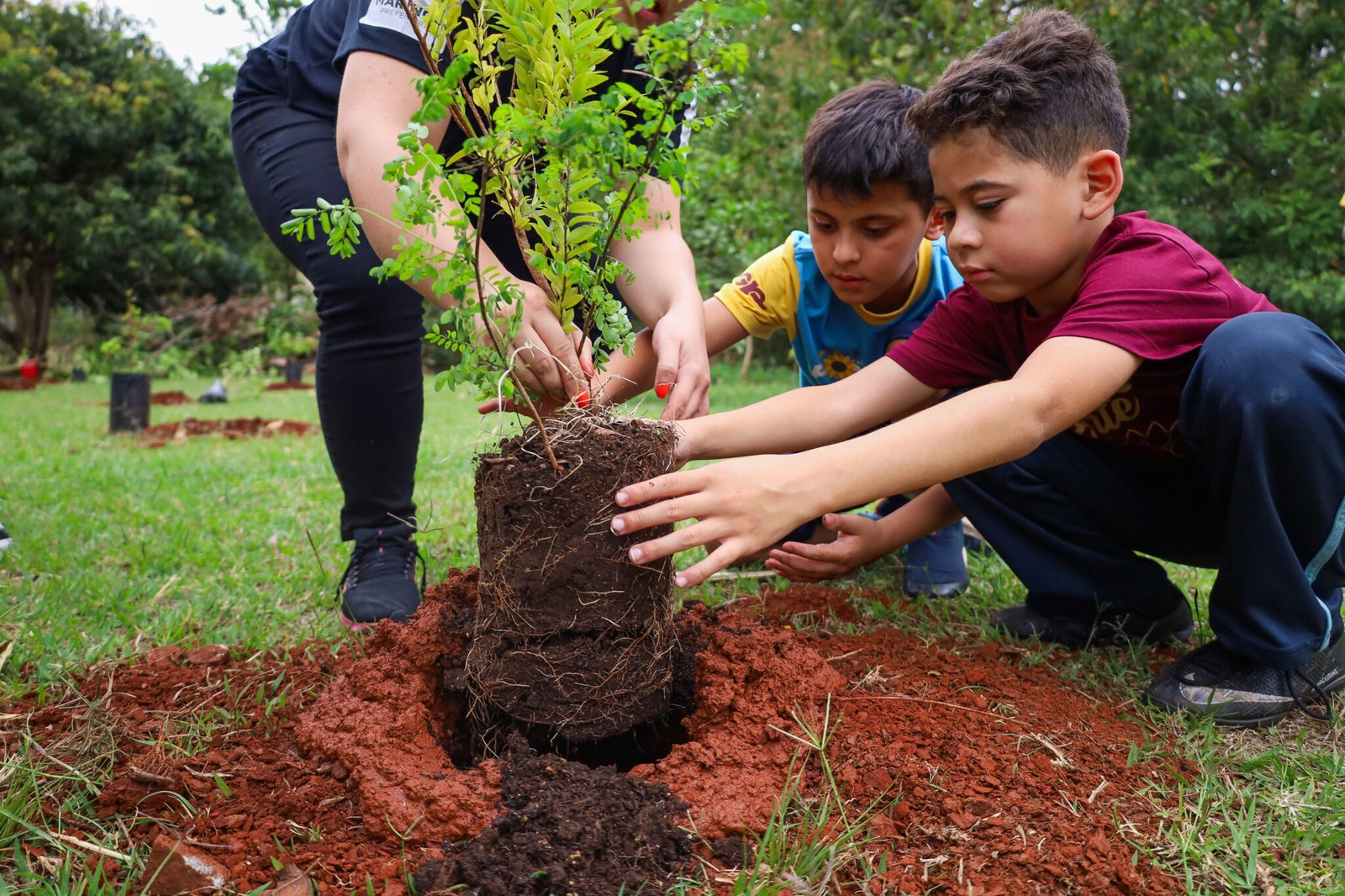 Ao longo do ano, foram plantadas 514 mudas de espécies nativas no Parque do Ingá