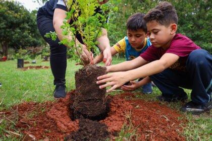 Ao longo do ano, foram plantadas 514 mudas de espécies nativas no Parque do Ingá
