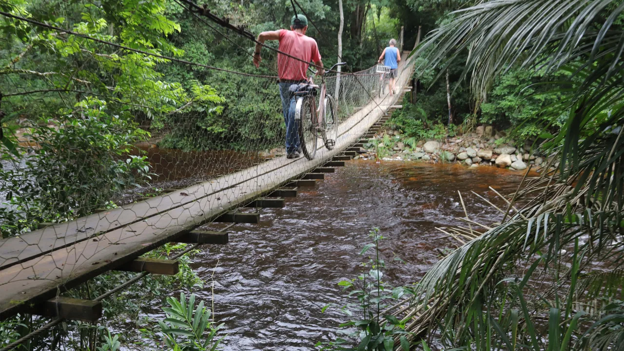 Secretaria da Saúde alerta sobre cuidados para quem frequenta áreas de mata no verão
