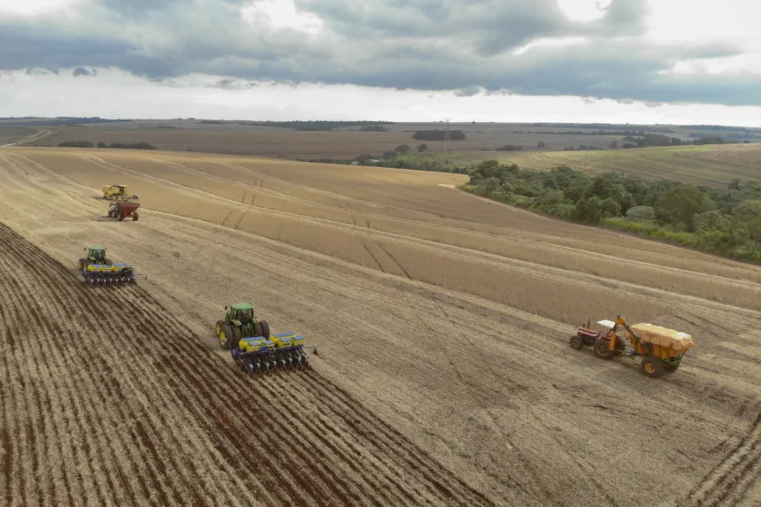 O Paraná deve renovar esse protagonismo em 2026, a partir do terceiro prognóstico de área e produção para a safra do IBGE. Segundo o IBGE, o Estado deve ter aumento de 1,5% na produção em 2026.