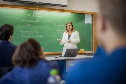 Professores efetivos