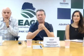 Seab orienta cooperativas sobre edital do Coopera Paraná em reunião com mais de 500 participantes Foto: SEAB