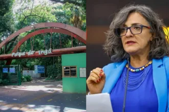 Vereadora tenta barrar na justiça progresso da concessão do Parque do Ingá