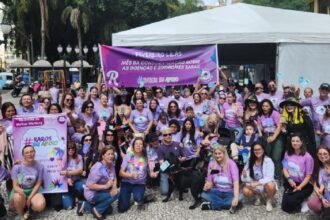 Curitiba e Maringá terão caminhadas do Fevereiro Lilás neste fim de semana