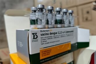 vacinas contra dengue