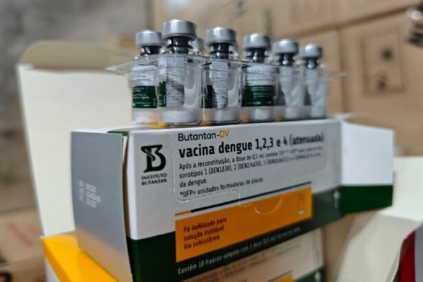 vacinas contra dengue