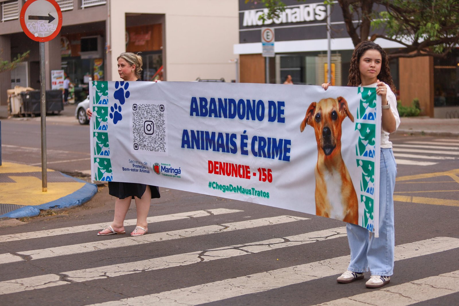 Para conscientizar a população contra maus-tratos aos animais, Prefeitura realiza blitz educativa nesta sexta-feira, 20