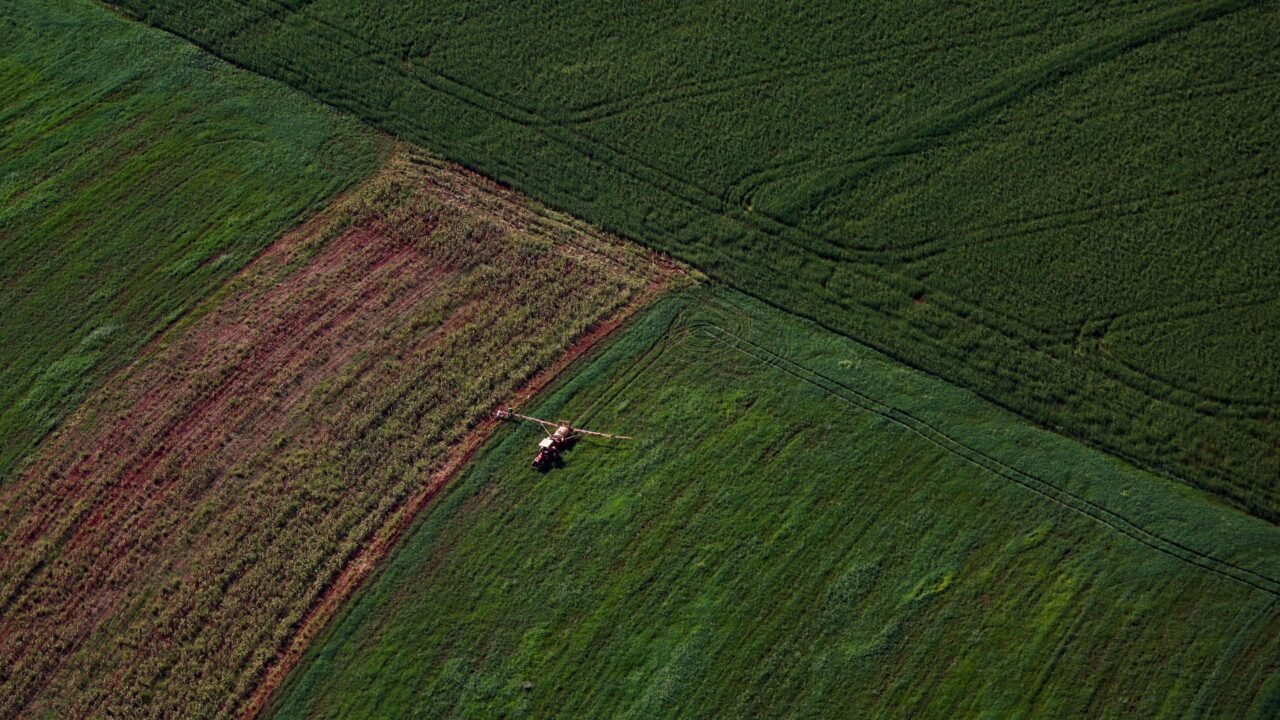 Plantação, agronegócio