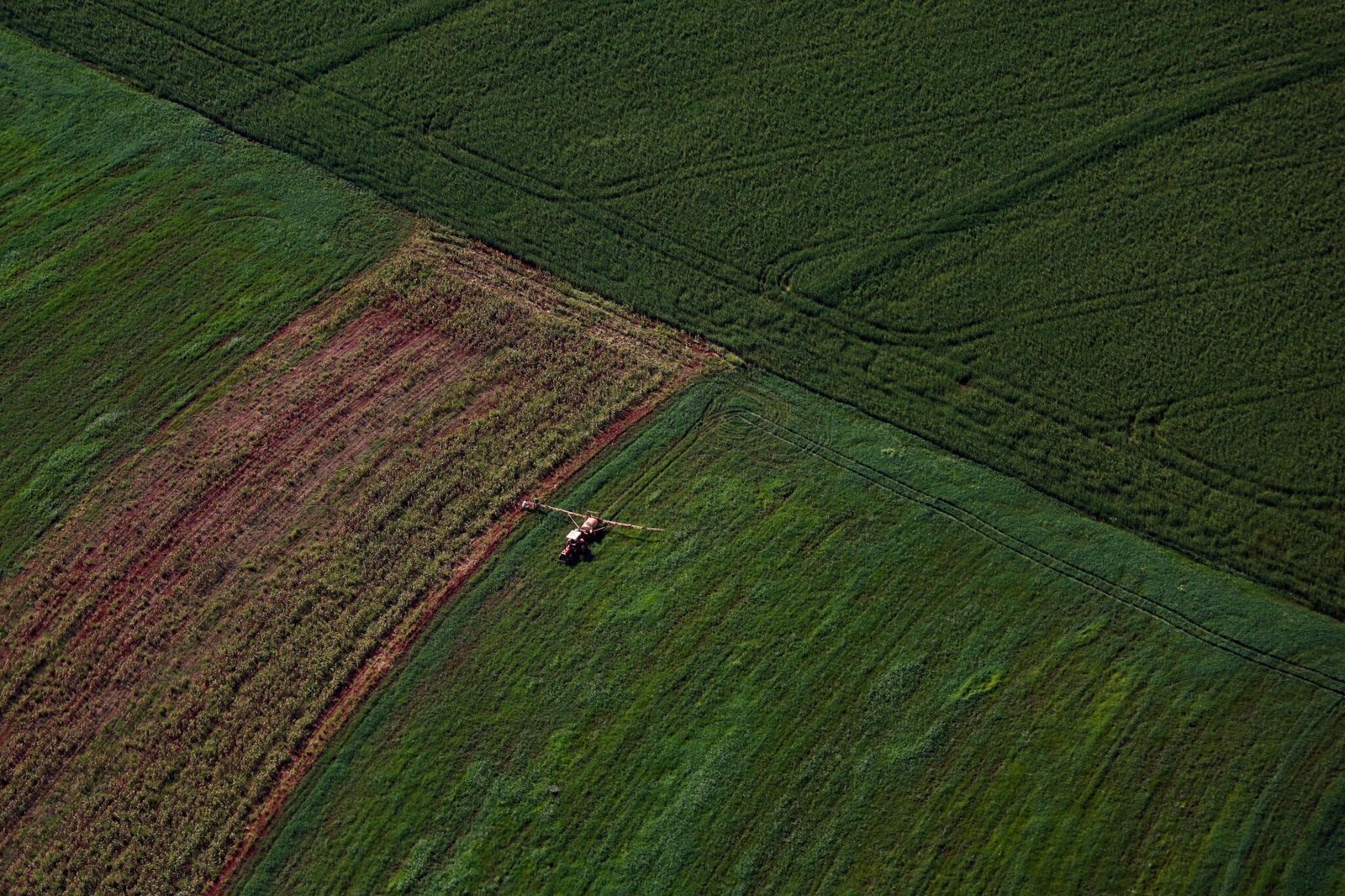 Plantação, agronegócio