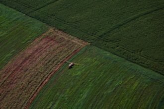 Plantação, agronegócio