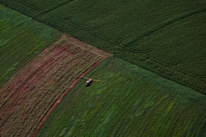 Plantação, agronegócio