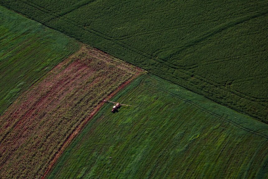 Plantação, agronegócio