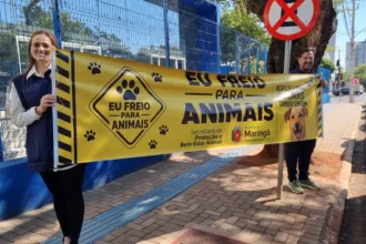 Bem-Estar Animal