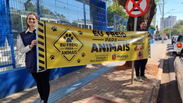 Bem-Estar Animal