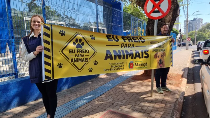 Bem-Estar Animal