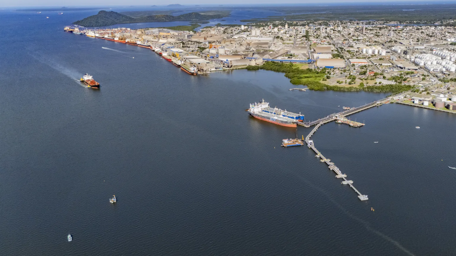 Porto de Paranaguá concentra 70% das exportações brasileiras de óleo de soja no 1º trimestre