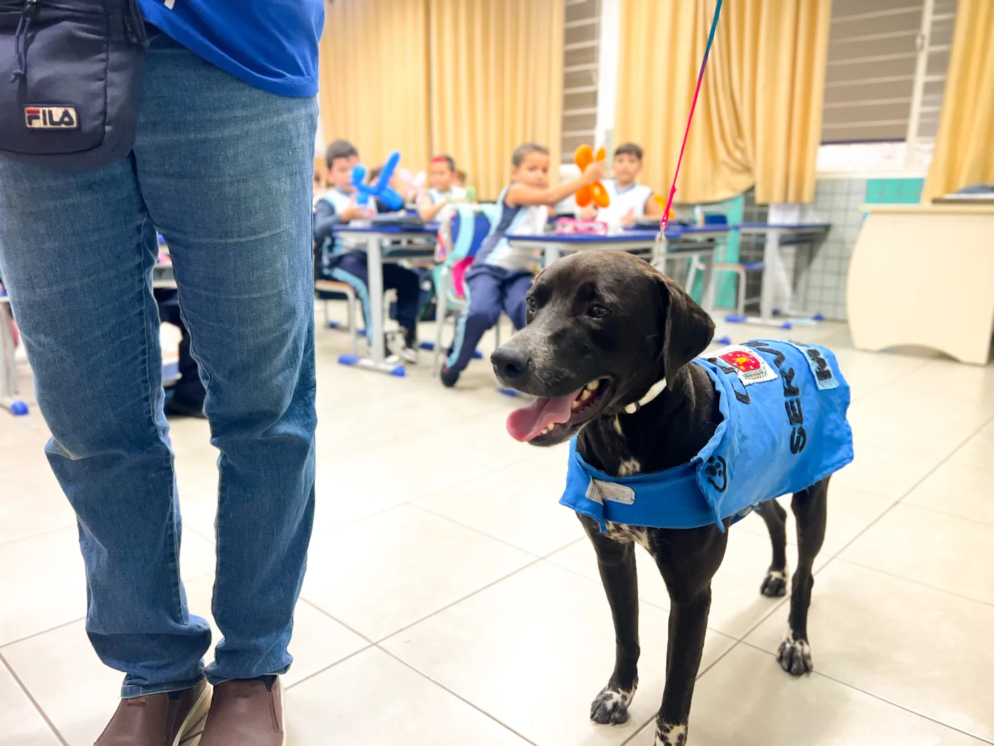 Projeto ‘Aluno Amigos dos Animais’, cuidados com os pets