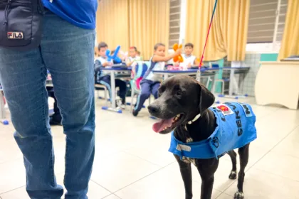 Projeto ‘Aluno Amigos dos Animais’, cuidados com os pets