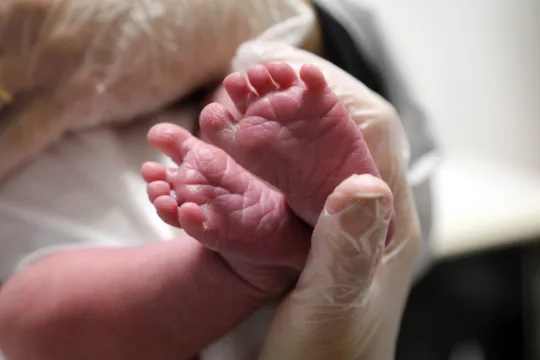 Triagem Neonatal