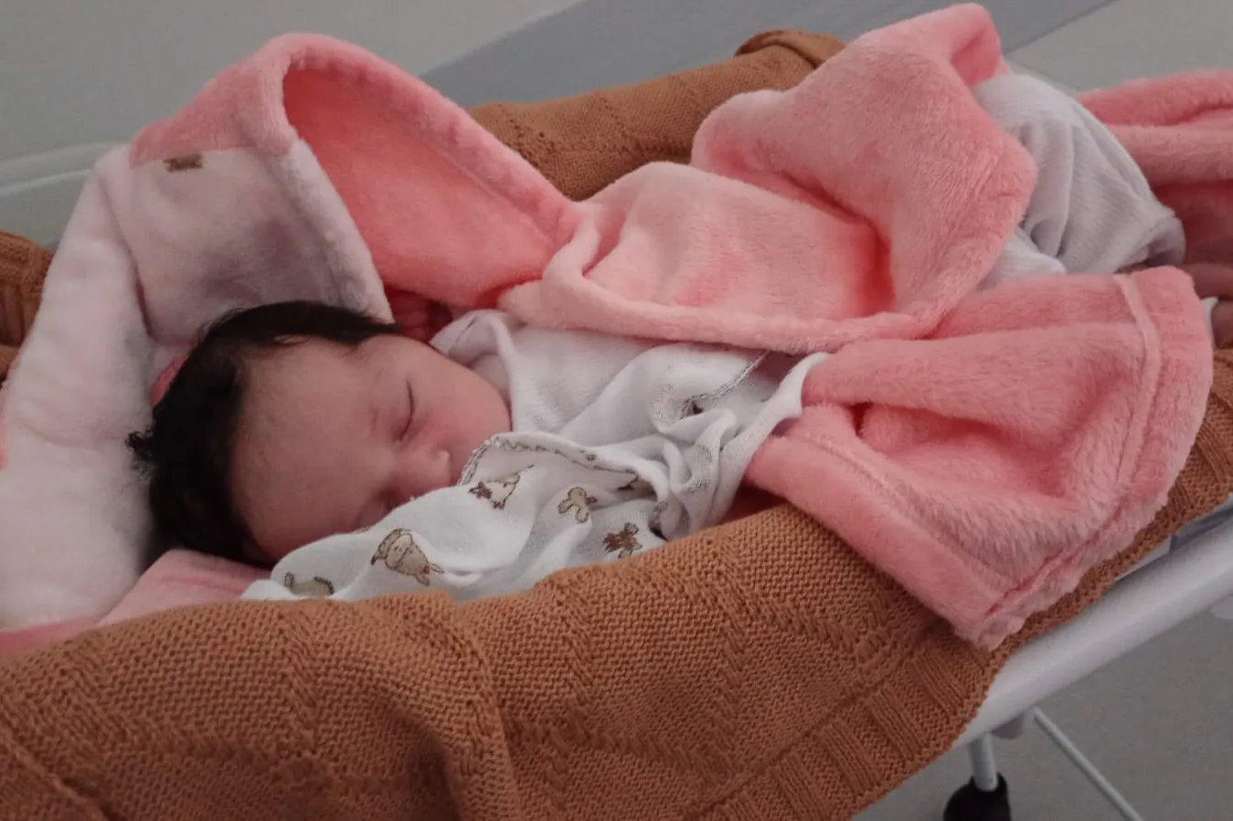 bebês