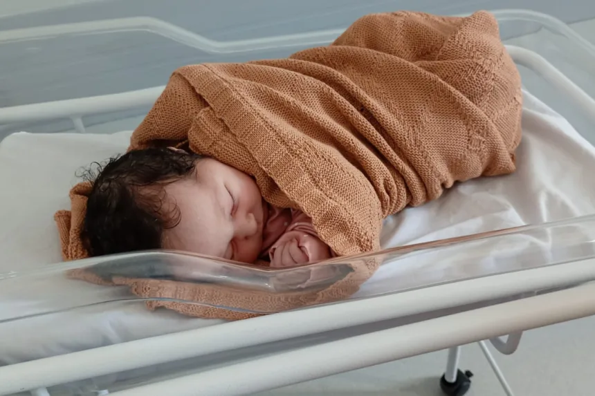 bebês