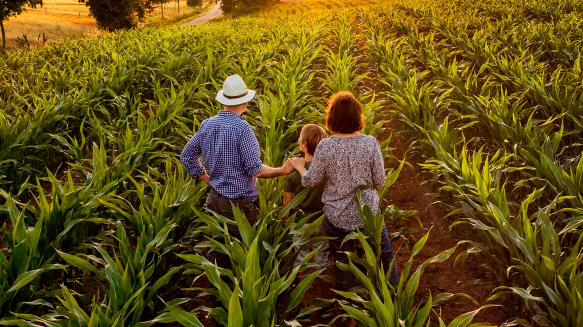 Maringá aprova Semana da Valorização do Agricultor com foco em crédito e integração 2 A proposta, de autoria da vereadora e advogada Dra. Giselli Bianchini (PL), institui oficialmente a Semana da Valorização do Agricultor no município.