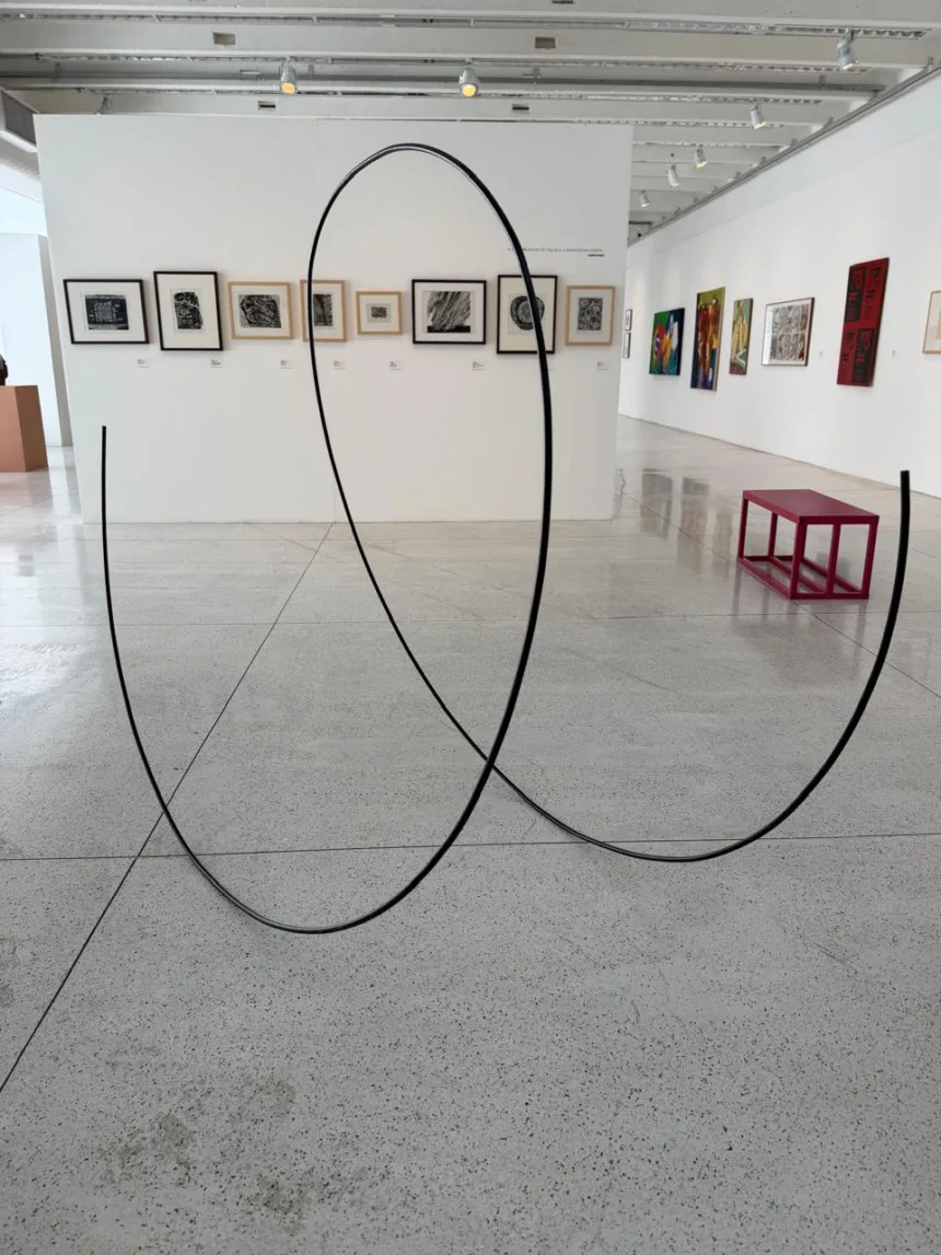 Maringá contará com um novo núcleo do Museu de Arte Contemporânea do Paraná (MAC-PR)