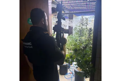 PCPR localiza laboratório de cultivo de maconha em Curitiba e prende três pessoas