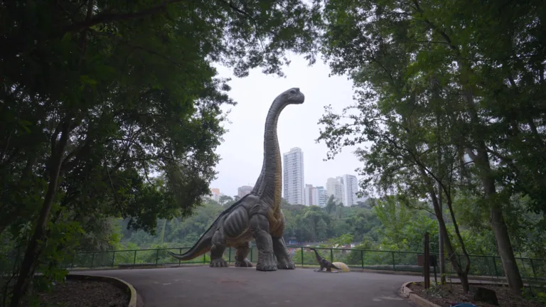 Parque do Ingá conclui montagem da exposição 'Jurássico Condor' e realiza pré-lançamento