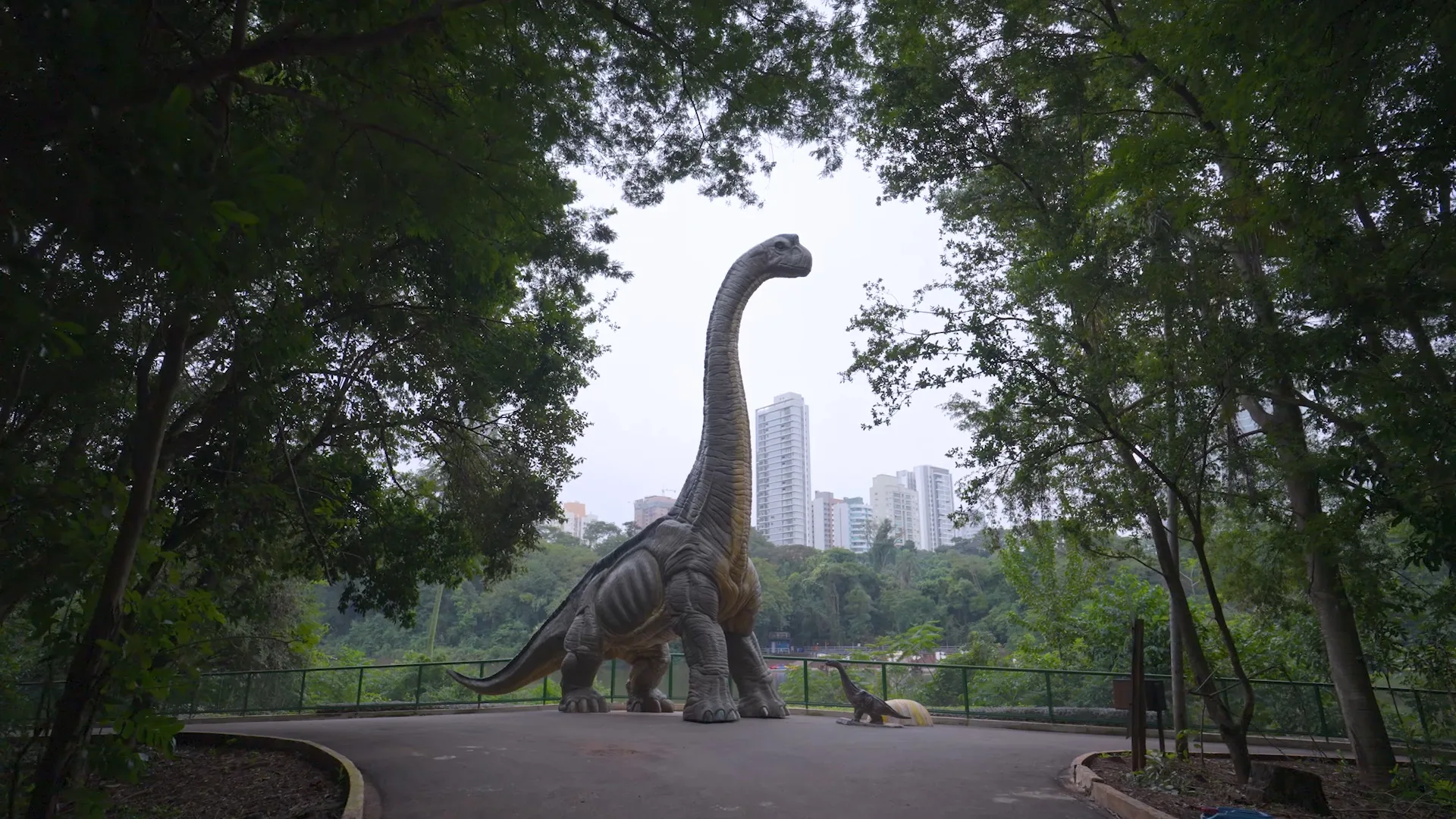 Parque do Ingá conclui montagem da exposição 'Jurássico Condor' e realiza pré-lançamento