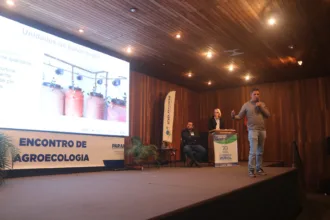 agricultura