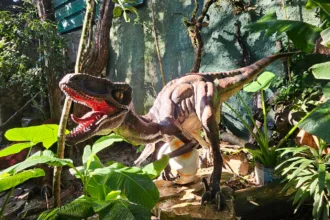 dinossauros