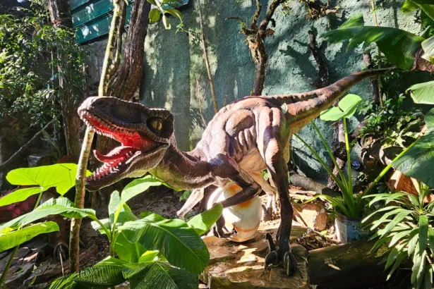 dinossauros