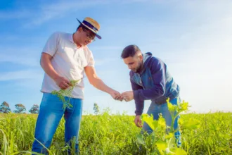 Produtor Rural