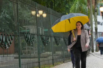Guarda-chuva