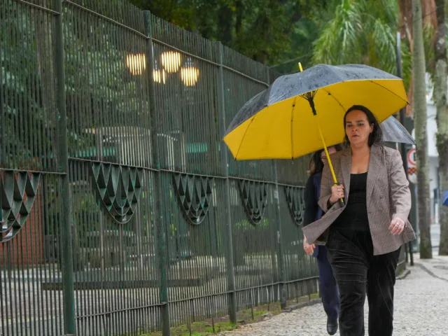 Guarda-chuva