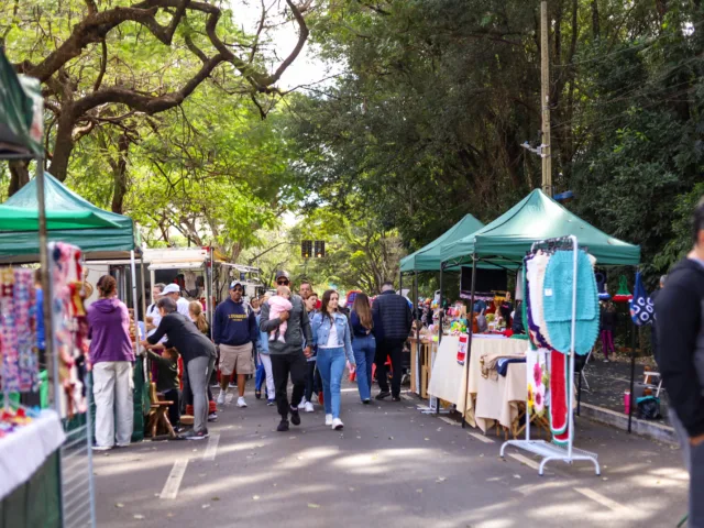 Feira Maringá Criativa no Parque do Ingá