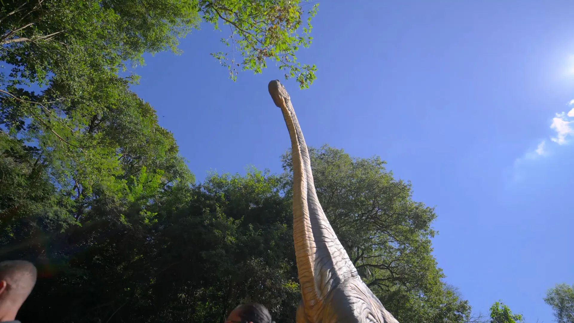 Público recorde: mais de 6 mil pessoas lotam o Parque do Ingá na abertura da exposição Jurássico Condor, confira novas imagens 9 Público recorde: mais de 6 mil pessoas lotam o Parque do Ingá na abertura da exposição Jurássico Condor, confira novas imagens
