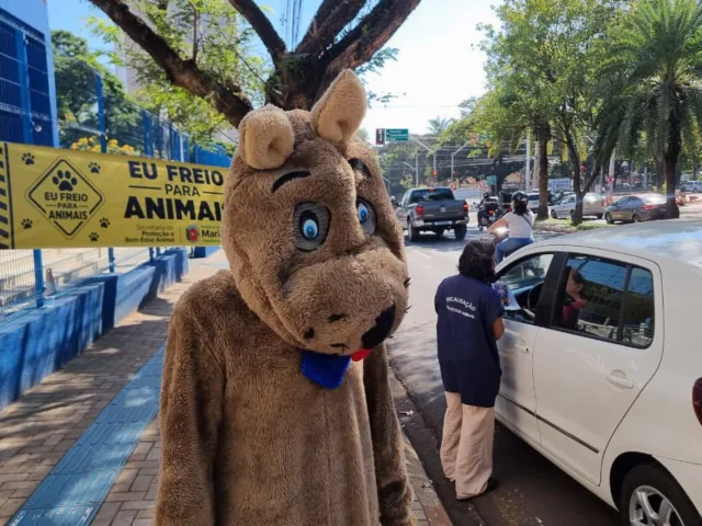 Secretaria de Bem-Estar Animal promove blitz educativa em parceria com a Guarda Civil Municipal nesta sexta-feira, 26