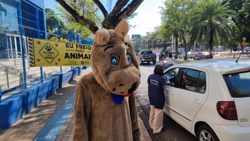 Secretaria de Bem-Estar Animal promove blitz educativa em parceria com a Guarda Civil Municipal nesta sexta-feira, 26