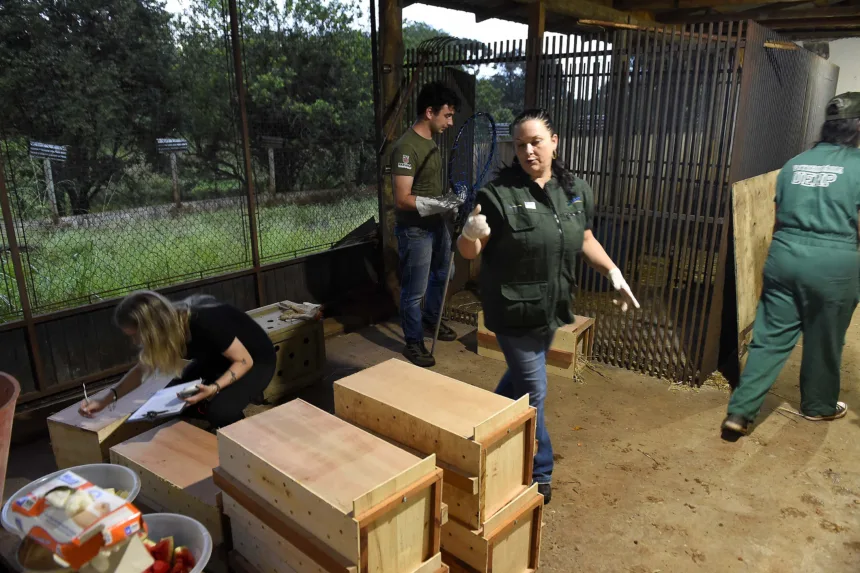 Novo canal do IAT registrou mais de 2,8 mil denúncias de crimes ambientais em 4 meses