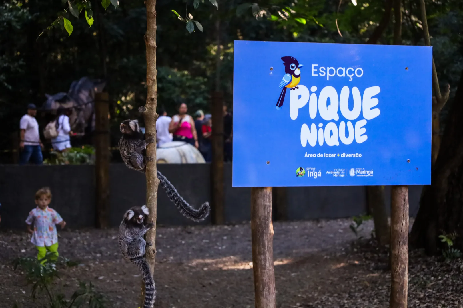 Do Espaço Piquenique à praça de food trucks: Parque do Ingá oferece opções de lazer para a comunidade 11 Espaço Piquinique, no Parque do Ingá