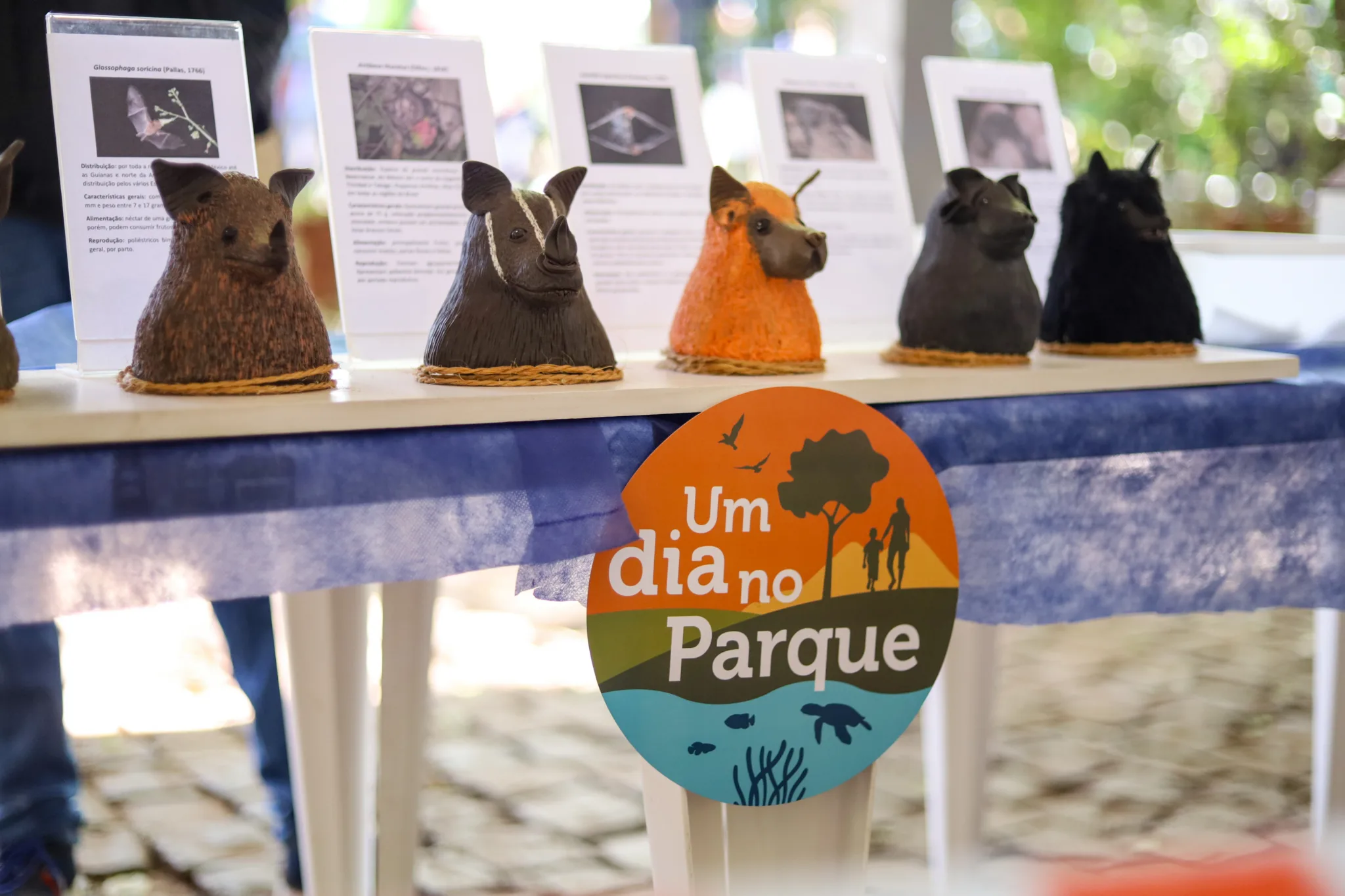 Movimento Um Dia no Parque