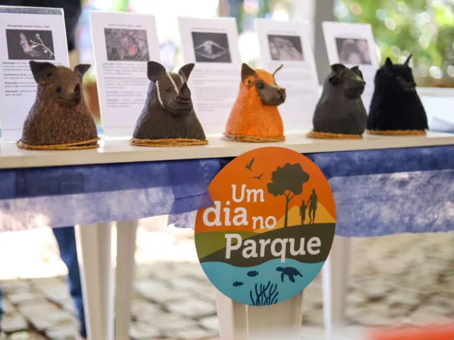 Movimento Um Dia no Parque