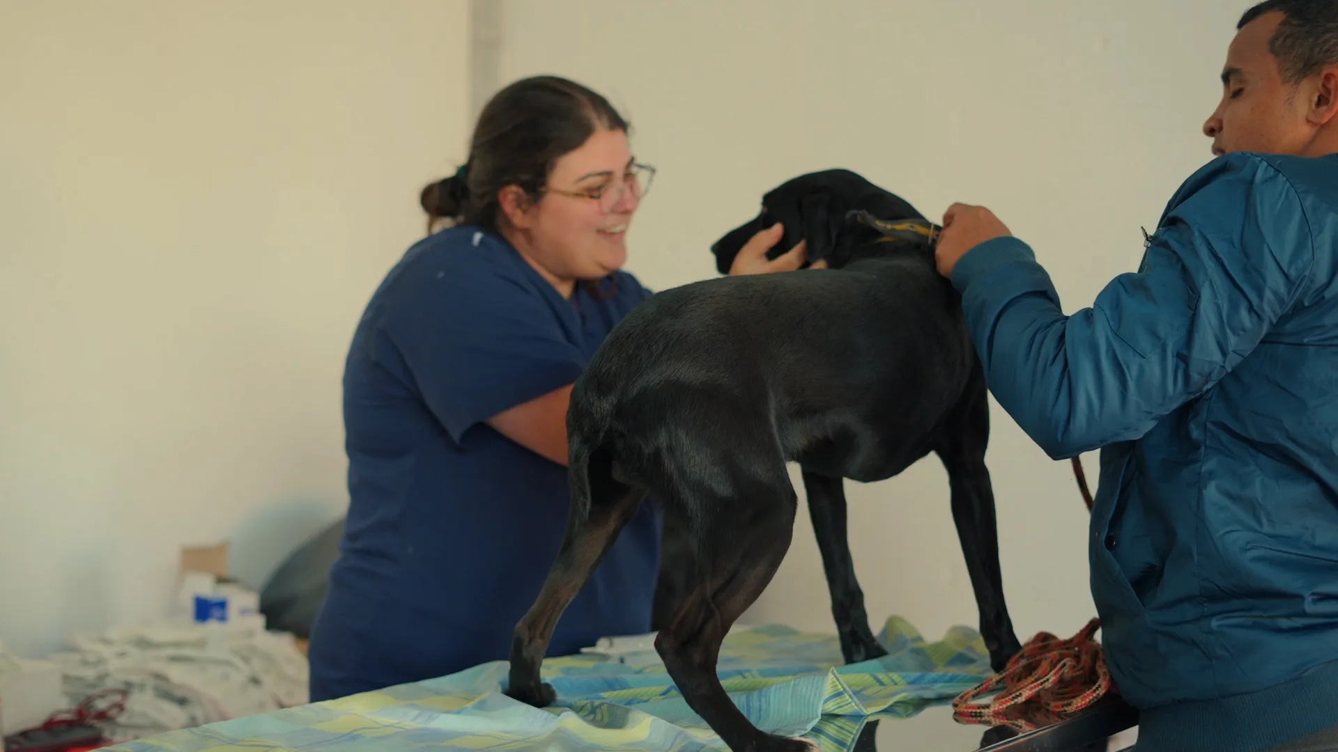 ‘Julho Dourado’: Prefeitura promove vacinação de cães e gatos em Iguatemi 18 ‘Julho Dourado’: Prefeitura promove vacinação de cães e gatos em Iguatemi