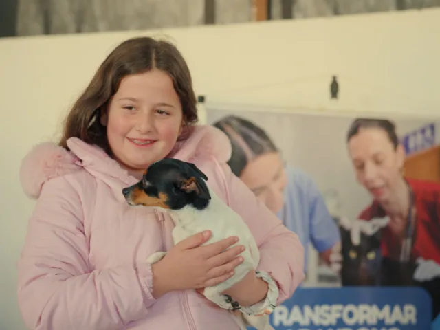 ‘Julho Dourado’: Prefeitura promove vacinação de cães e gatos em Iguatemi